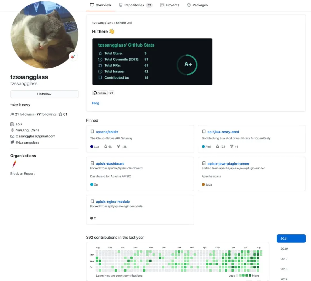 Apache APISIX committer tzssangglass github